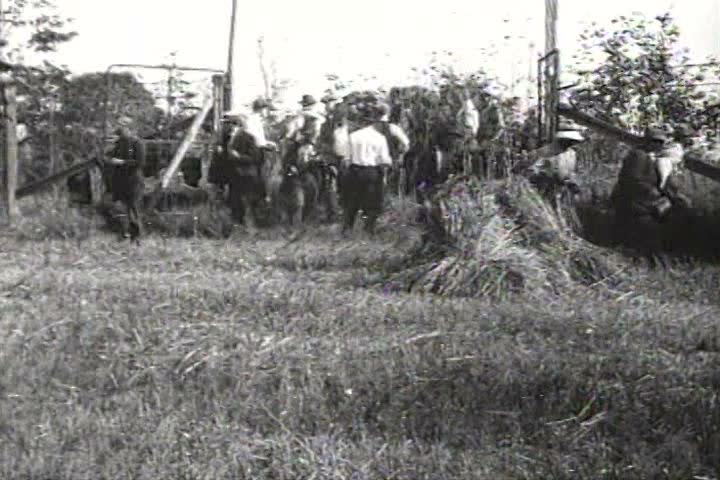 1910s - Itinerant farm labor works in the fields in 1919.