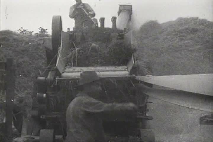 1910s - Itinerant farm labor works in the fields in 1919.