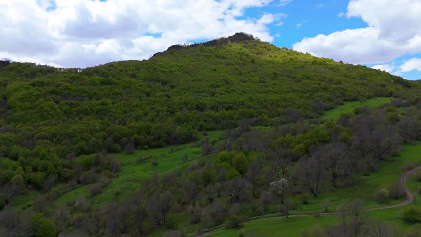 Forested mountain hill under dramatic cloudy sky