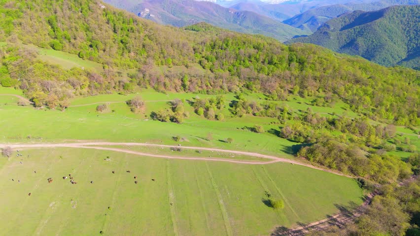 Mountain meadow with forest and dirt road aerial landscape