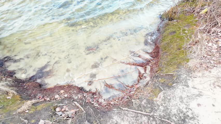 Waves on sandy shore with mossy piece of land