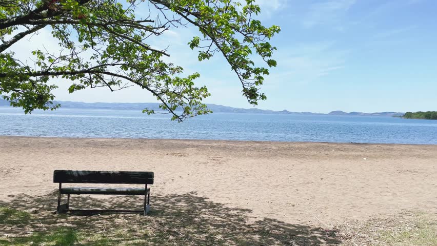 A calm natural scene featuring a bench on a sandy lakeside beach.