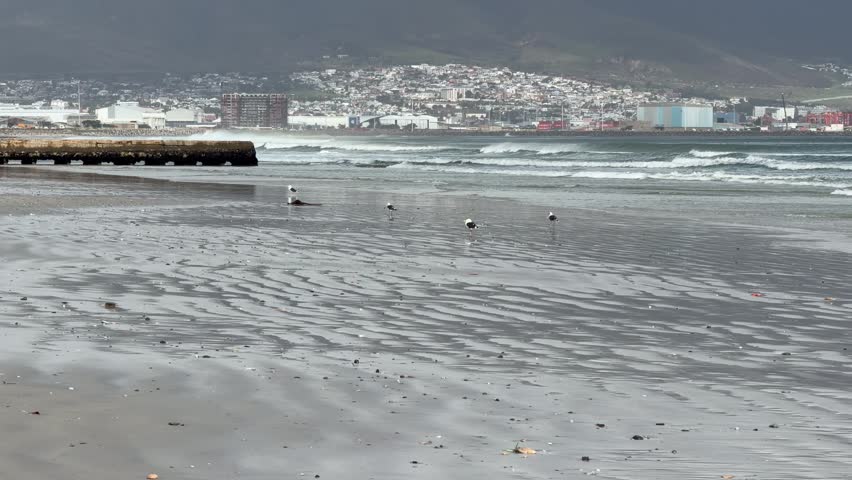 A pier on a beach near Cape Town, South Africa