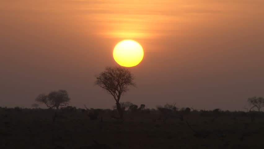 timelapse of sunrise in the bush