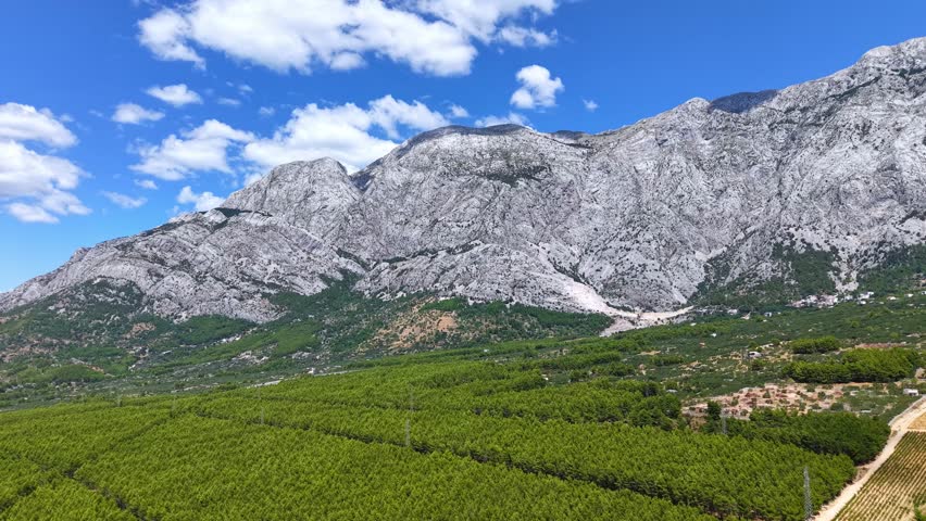 Aerial view of the Biokovo mountain range and lush green pine forests in Dalmatia, Croatia, under a blue sky with white clouds
