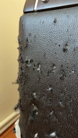 Damaged Sofa Corner With Cat Scratch Marks and Torn Faux Leather Surface Showing Heavy Pet Wear and Furniture Damage Close Up