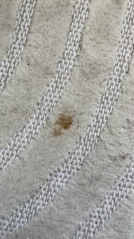 Dirty White Carpet Surface With Small Brown Stain and Visible Fibers Creating Realistic Rug Texture Background Close Up