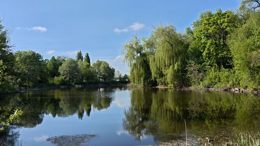 Peaceful spring lake with water reflections and green trees on sunny day