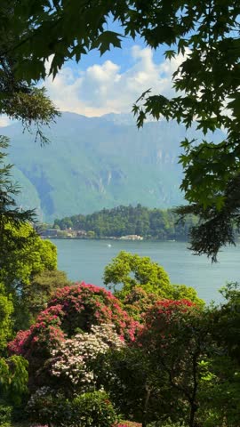 Scenic view of Lake Como Italy and Bellagio village through green maple leaves and pink blooming flowers on sunny day with blue mountain background.