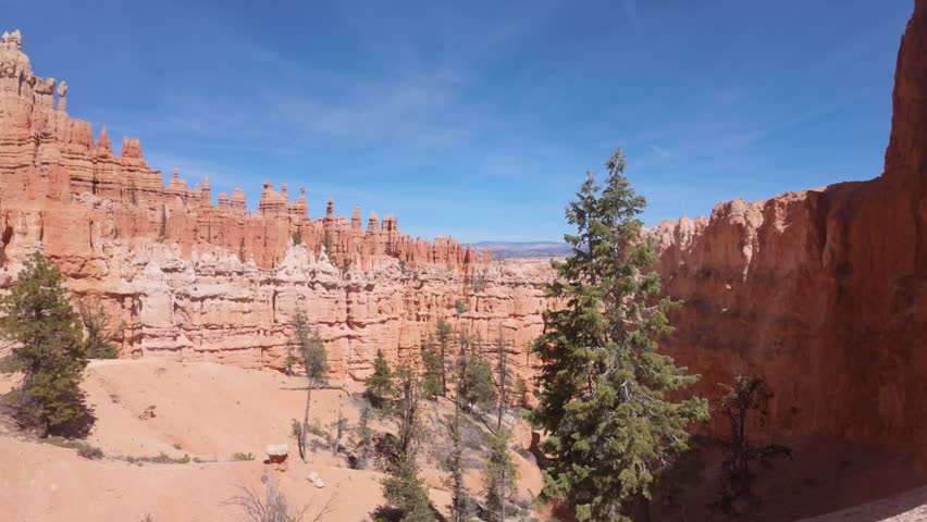 A view of the towering trees in the red rocks of Bryce Canyon.