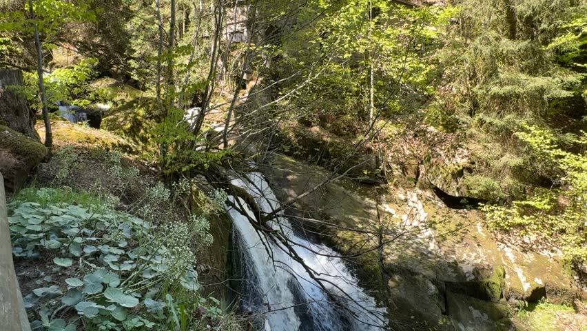 Clear waterfall flowing through rocky forest terrain in bright natural sunlight. Fresh spring landscape with moving water, mossy stones and peaceful woodland atmosphere in the Black Forest region.