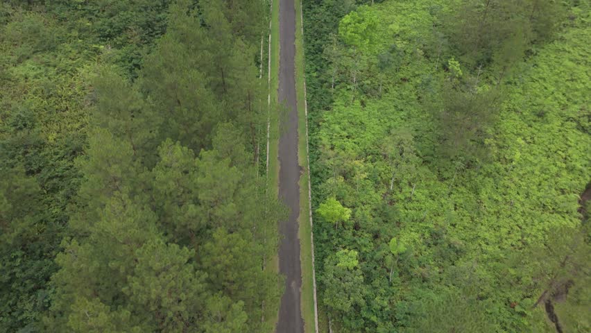 Long winding road leading to mountain top surrounded by lush green natural landscape