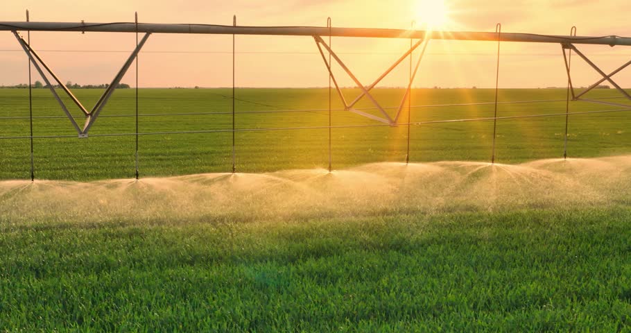 Slow motion drone shot of an irrigation system watering a wheat field at sunset, helping plants grow during the dry season and increasing crop yields