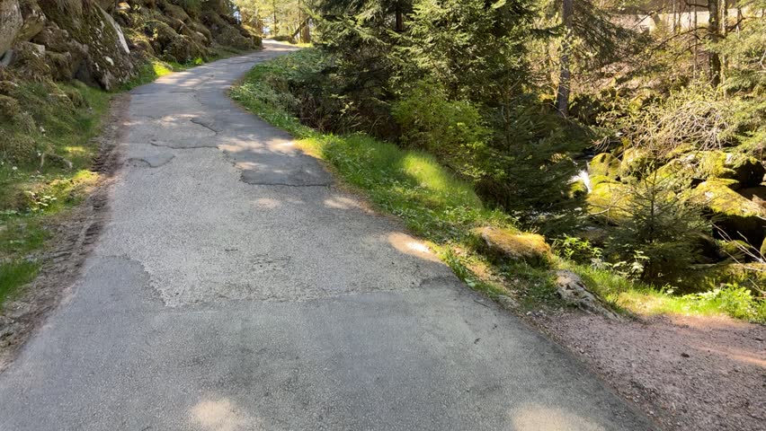 Clear waterfall flowing through rocky forest terrain in bright natural sunlight. Fresh spring landscape with moving water, mossy stones and peaceful woodland atmosphere in the Black Forest region.