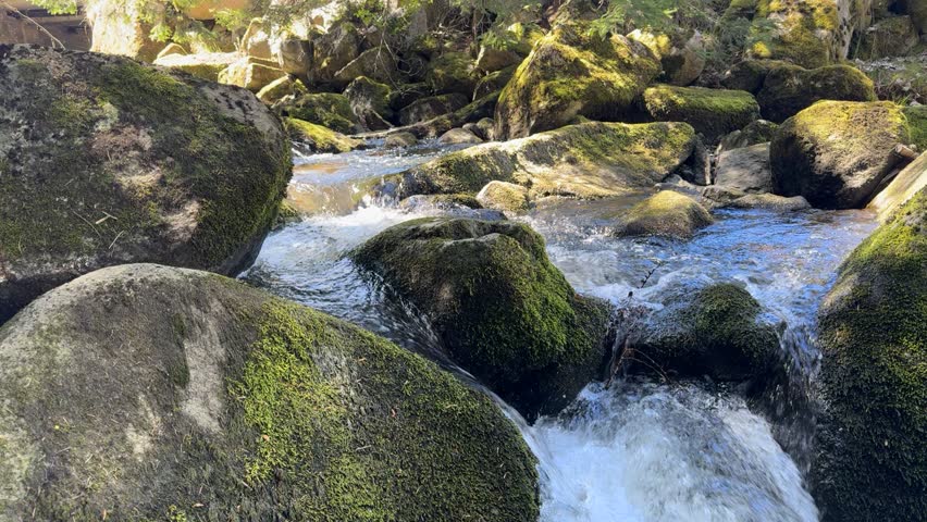Clear waterfall flowing through rocky forest terrain in bright natural sunlight. Fresh spring landscape with moving water, mossy stones and peaceful woodland atmosphere in the Black Forest region.
