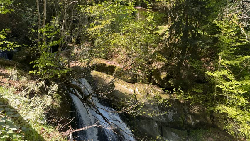 Clear waterfall flowing through rocky forest terrain in bright natural sunlight. Fresh spring landscape with moving water, mossy stones and peaceful woodland atmosphere in the Black Forest region.