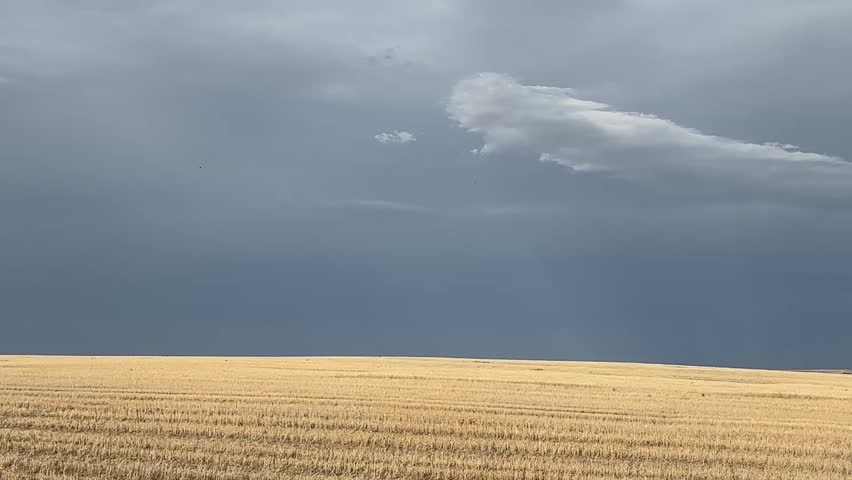 Remote prairie farmland view across Alberta agricultural countryside