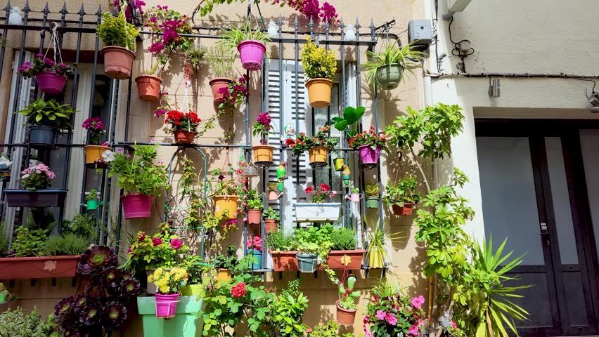 Slow zoom into a vibrant vertical garden of potted flowers on a French house facade