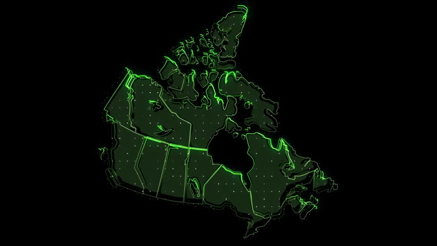 Close-up footage of a shark head displayed as a 3d wireframe model with neon green lines against a black background, showing detailed anatomical structure.