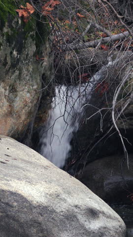 Vertical Screen: Small waterfall flows over moss covered rocks in Sequoia National Park surrounded by bare branches and fallen autumn leaves in a serene wilderness setting during autumn