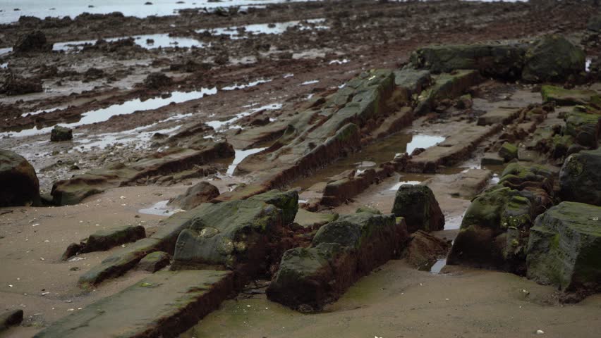 Dramatic geological formations and sedimentary rock layers are exposed on a wet, sandy beach during low tide, with small pools of water reflecting the overcast sky on the coastline