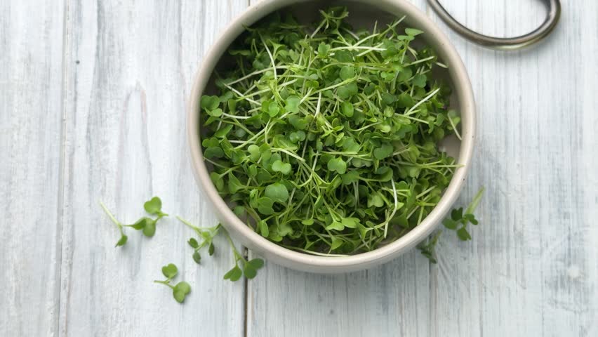 Ceramic bowl filled with freshly cut arugula microgreens on a concrete background