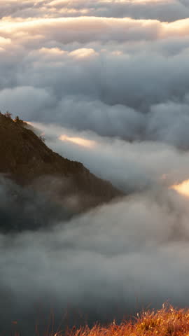 Golden sunset light illuminates rolling sea clouds drifting over a mountain slope
