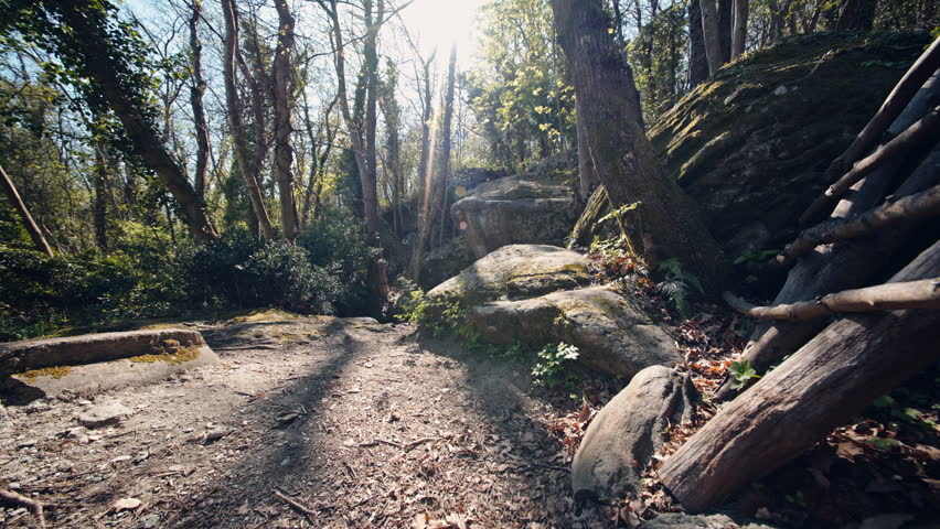 Tranquil wooded path in sunlit forest with rustic logs nearby, serene mood