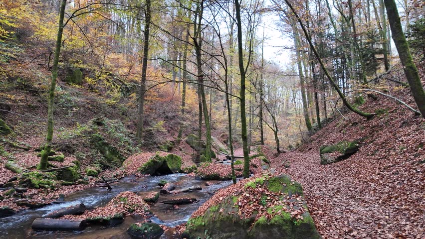 Tranquil Forest Stream in Autumn Karlstal Germany
