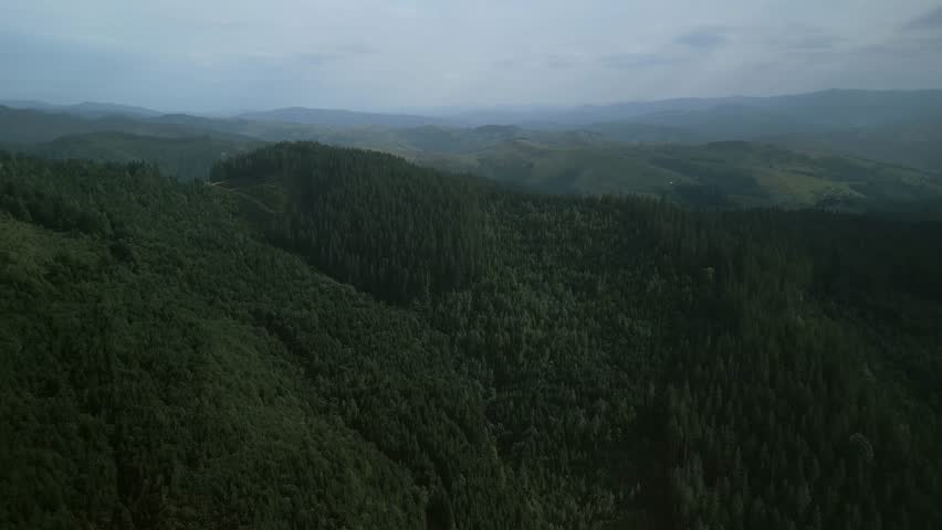 Flying over green forest at cloudy day with the mountains on horizon with glowing clouds. Carpathian mountains, Europe. 4k color corrected footage. Aerial view of classical european forest