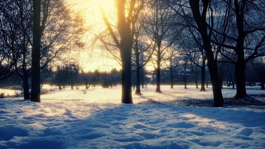 Snow Covered Park In Sun Glow