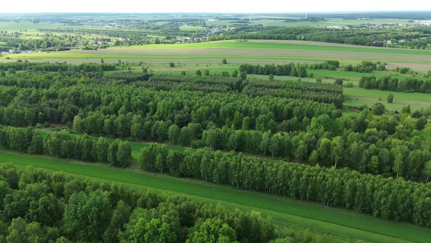 Beautiful natural landscape with green fields