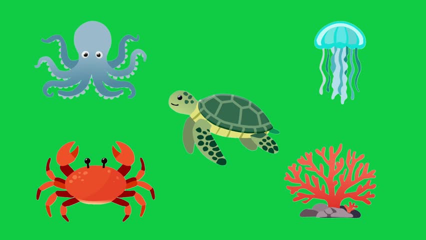 2D Animated Marine Animals with Ocean Coral Elements for Underwater Kids Collection