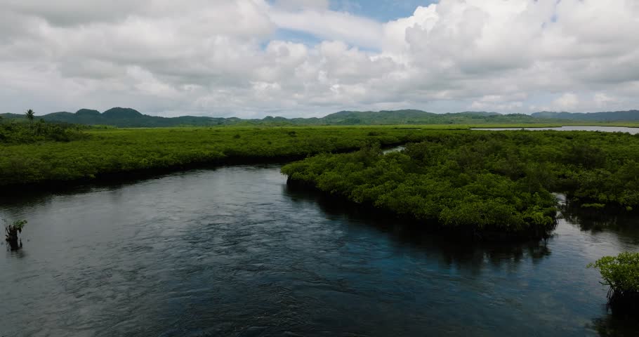 Calm channel of water runs through dense mangrove forest. Siargao, Philippines.