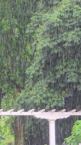 Raindrops on a rainy day, splashes, vertical