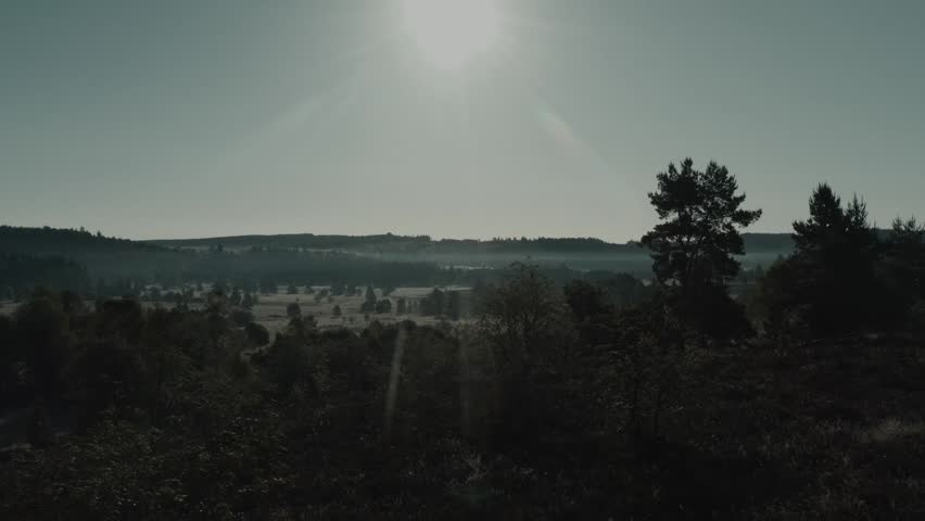A scenic view of a dark forest landscape at sunrise with bright sun rays over trees and misty fields.