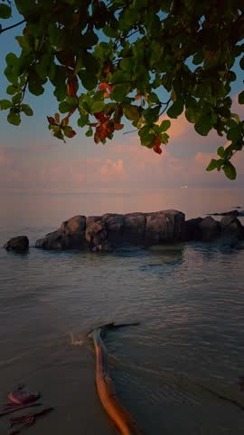 Peaceful beach with rocks and driftwood under a lush green canopy at sunset.