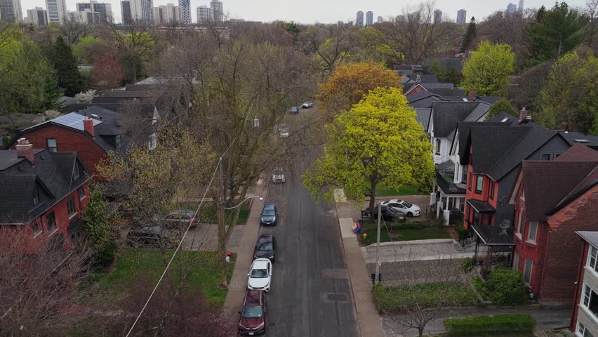 Aerial perspective over residential street in a city with Victorian houses, blooming trees and metropolitan skyline background during spring season in North America