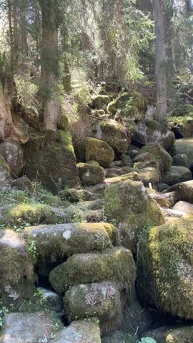 Clear mountain water flowing rapidly over rocks in a natural forest landscape with detailed textures, movement, and fresh outdoor atmosphere.