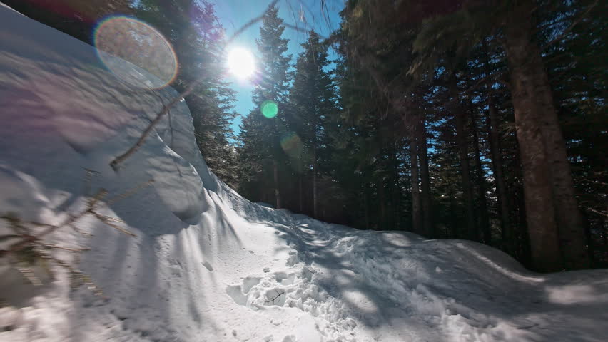 Snowy forest trail in winter, peaceful and serene outdoor scenery