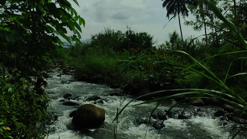 Beautiful flowing river surrounded by natural stones and tropical vegetation in Indonesia. The gentle movement of water over rocks highlights the raw beauty of Indonesia’s natural landscapes.