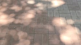 Swaying tree leaf shadows on sidewalk paving stones in sunlight - Powered by Shutterstock - Get 15% off with code: PIKWIZARD15