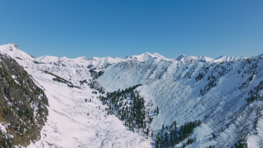 Aerial footage of snowy mountain ridges and pine forest under clear blue sky near Arshan village, Republic of Buryatia, Russia, scenic winter wilderness landscape