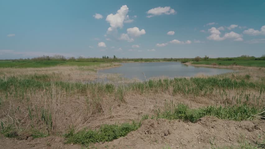 Calm lake landscape with reeds and blue sky in countryside, 4K