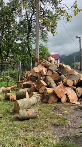 fresh firewood delivery dumped in outdoor yard area
