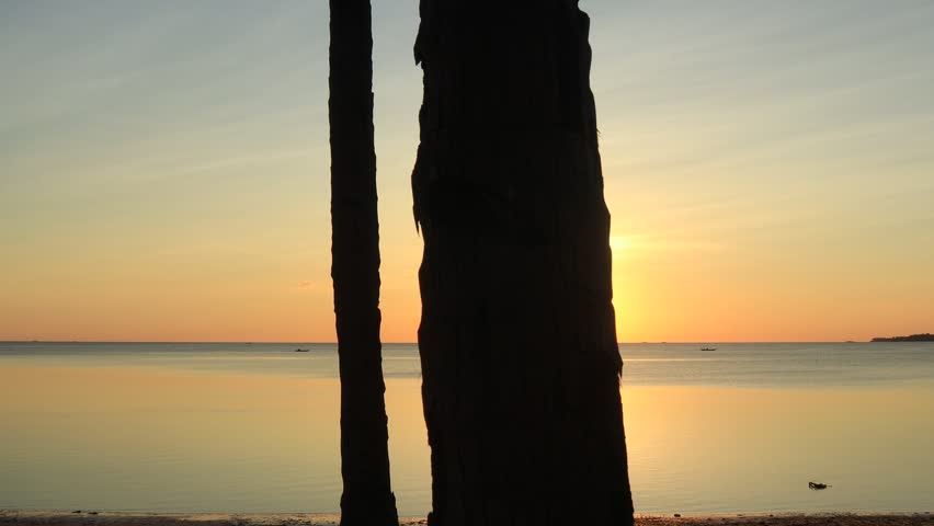 Beautiful sunset on the beach from behind the trees