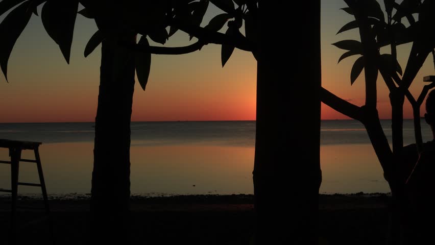 Beautiful sunset on the beach from behind the trees