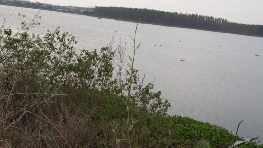 Wide lake landscape with bushes in foreground