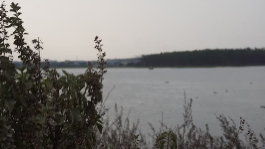 Lake scenery framed by dry plants and bushes
