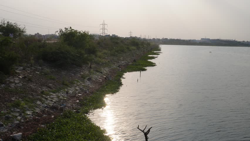 Curving lakeside shoreline with sunlight reflection